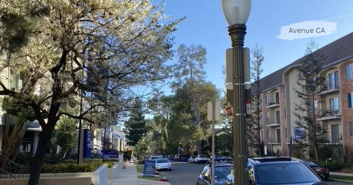 A sunny street lined with apartment buildings, parked cars, a lamppost, and trees, captioned 'Avenue CA.
