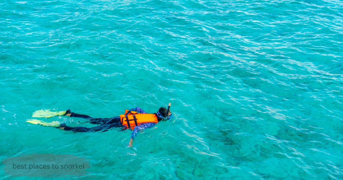 (swimmer with orange life vest and yellow fins in turquoise water): Snorkeler wearing a life vest and fins exploring one of the best places to snorkel in clear turquoise water