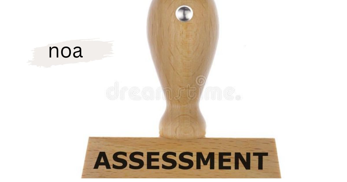 A wooden rubber stamp reading 'ASSESSMENT' on a white background, captioned 'noa.'
