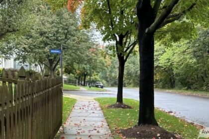 "A quiet, tree-lined residential street with a wooden picket fence, sidewalk covered in fallen leaves, and a blue street sign, captioned 'Avenue CA.'"