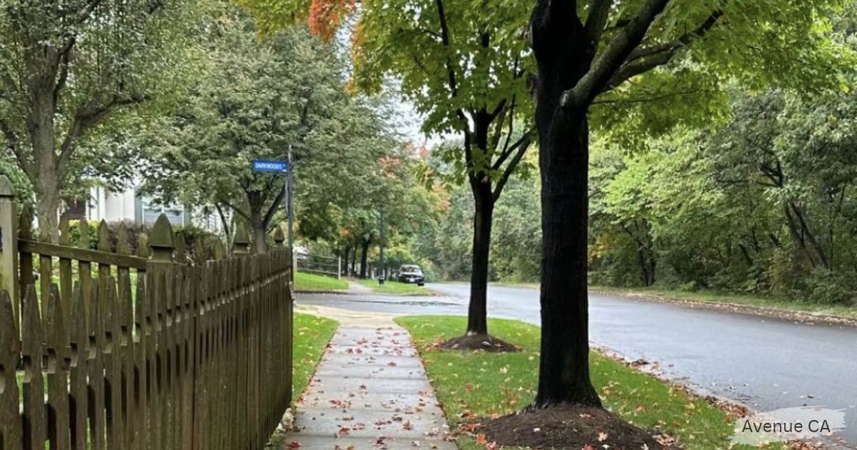 "A quiet, tree-lined residential street with a wooden picket fence, sidewalk covered in fallen leaves, and a blue street sign, captioned 'Avenue CA.'"