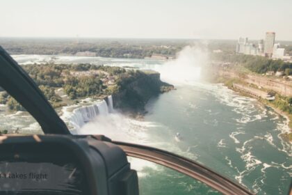 A seagull soaring over turquoise river rapids, capturing the free flight feeling of niagara takes flight