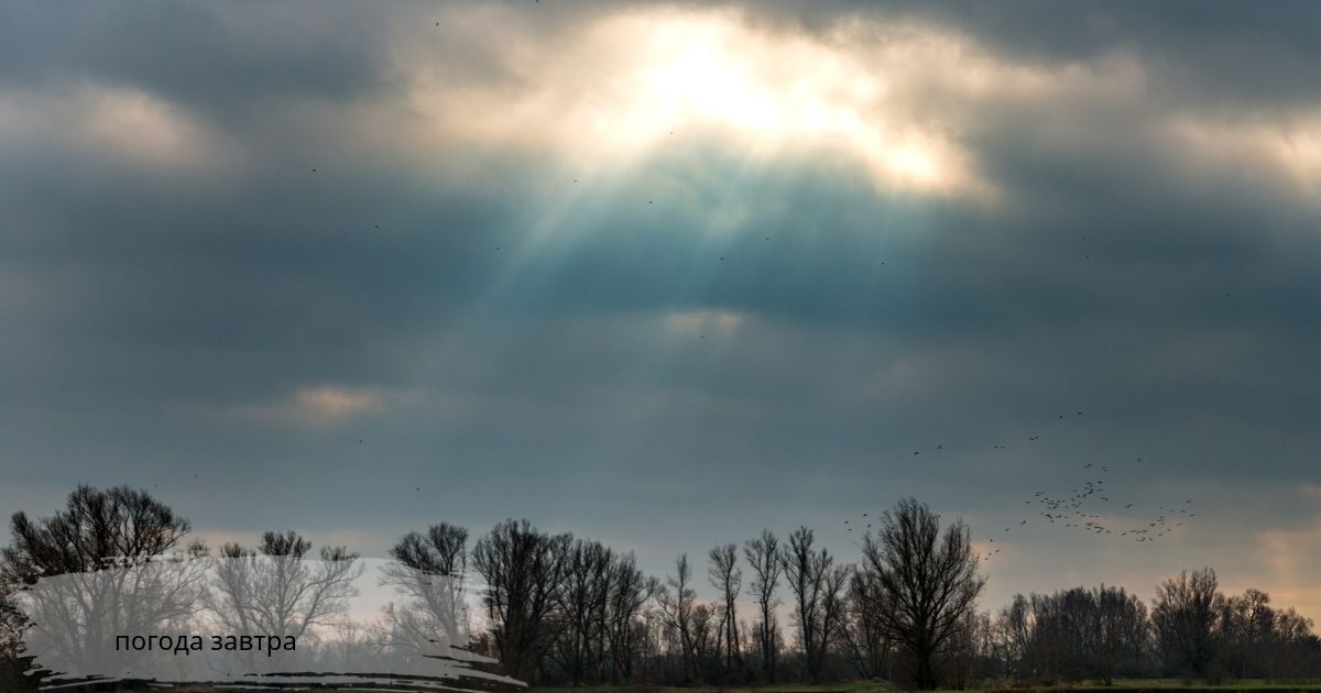 Sun rays breaking through dark grey clouds погода завтра over bare trees and flying birds, showing changing weather tomorrow